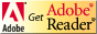 AdobeReader̃_E[h