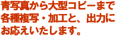 ʐ^^Rs[܂ŁAe핡ʂƏo͂ɂ܂B